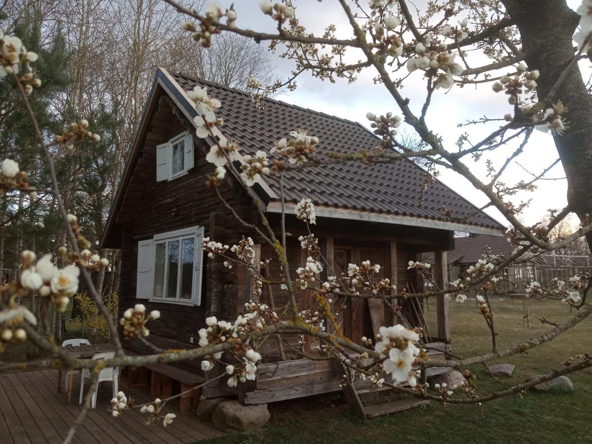 Senosios Geguzines Ukis Pension Buitenkant foto